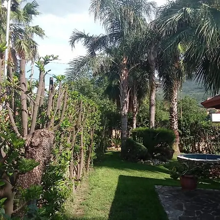 Agata בית הארחה