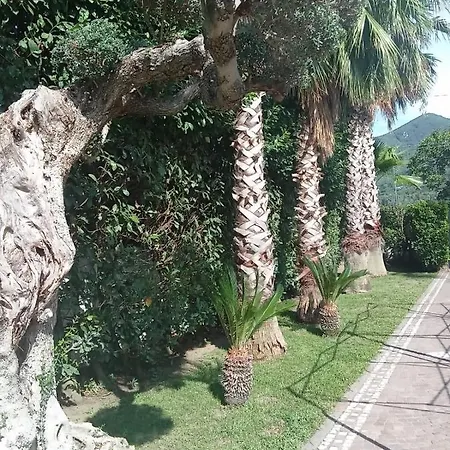 Agata Guest house *