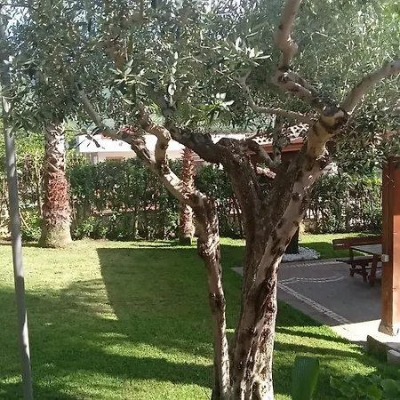 בית הארחה Agata *